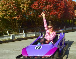 Euro Karts - Go-Karts Plus - Williamsburg, VA Family Fun & Birthdays
